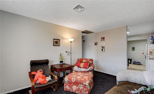 sitting room with carpet and a textured ceiling