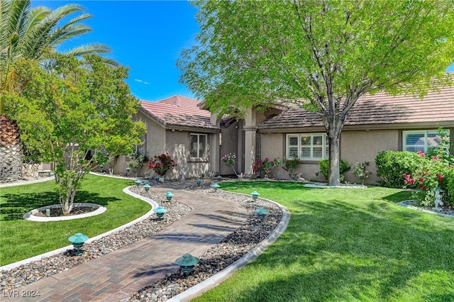 view of front facade featuring a front lawn and stucco siding