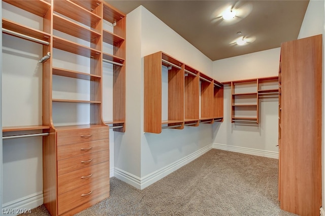 spacious closet with light colored carpet