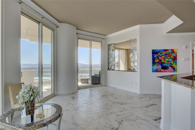 interior space featuring a wealth of natural light and crown molding