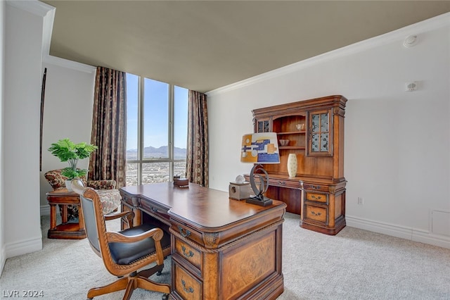 carpeted office space featuring crown molding