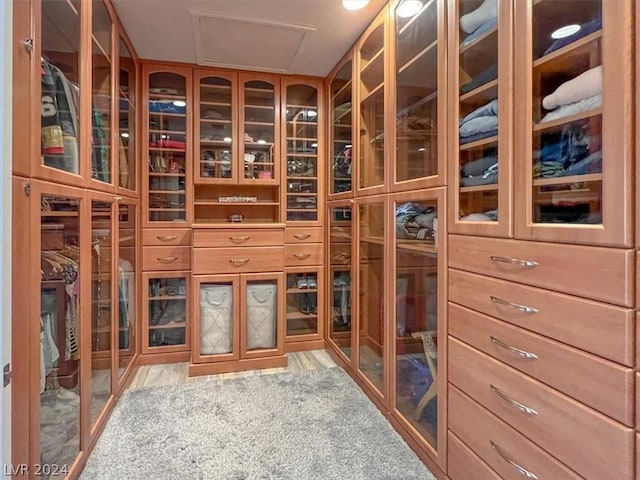 wine room with light carpet