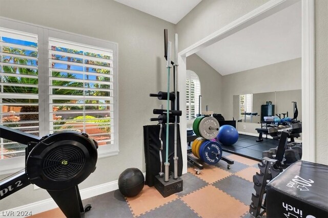 exercise area featuring a wealth of natural light and lofted ceiling