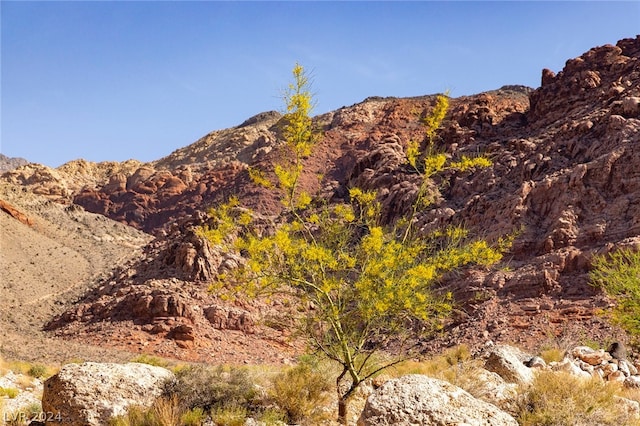 view of mountain feature