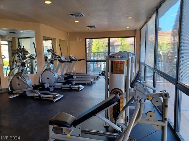 exercise room with plenty of natural light