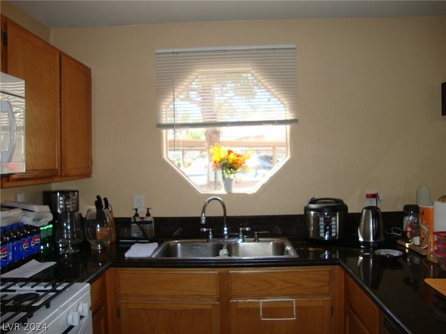 kitchen featuring sink and range