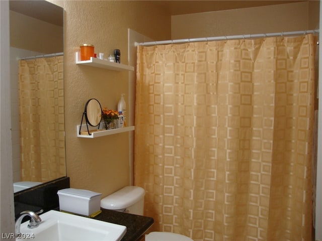 bathroom with sink and toilet