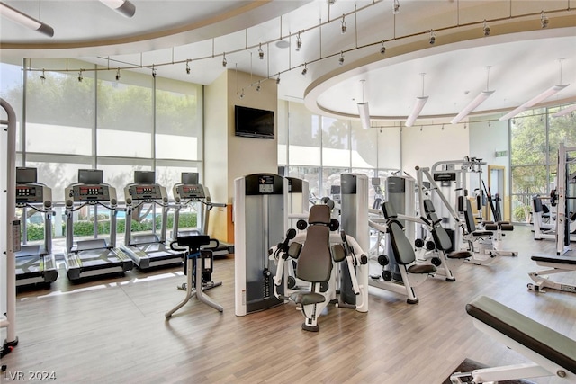 exercise room featuring wood-type flooring, a towering ceiling, track lighting, and expansive windows