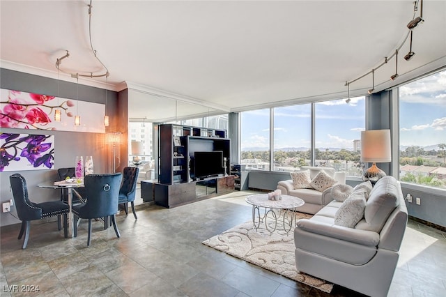 living room featuring floor to ceiling windows, plenty of natural light, and track lighting