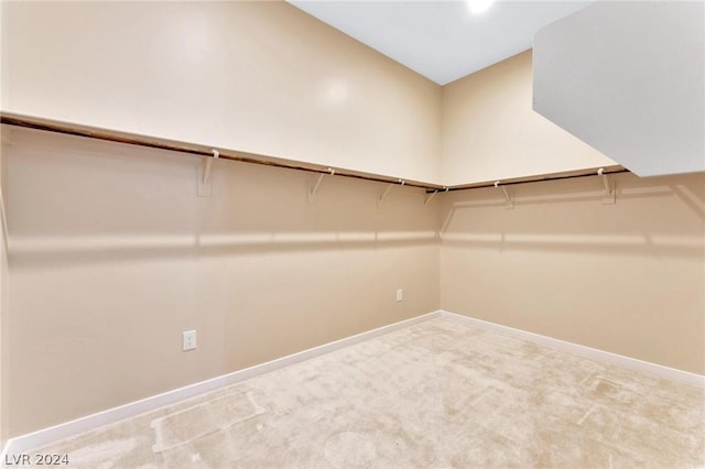 walk in closet featuring carpet flooring