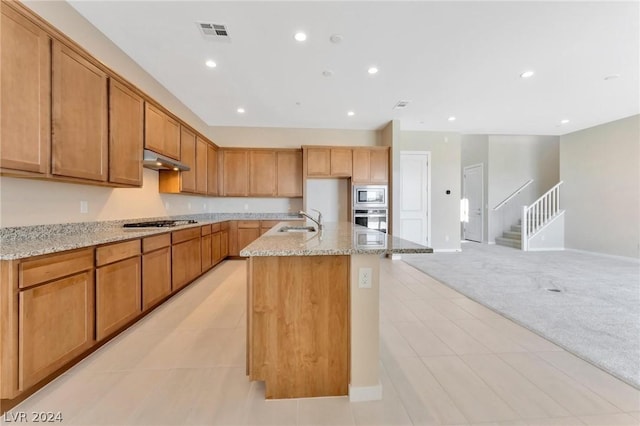 kitchen with light carpet, light stone counters, stainless steel appliances, sink, and a center island with sink