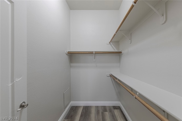 spacious closet with hardwood / wood-style flooring