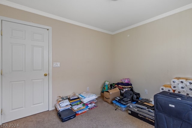 miscellaneous room featuring carpet floors and crown molding