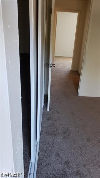 hallway with carpet floors