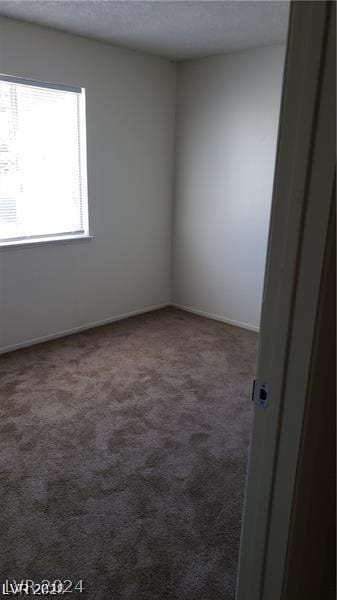 unfurnished room featuring carpet floors and a wealth of natural light