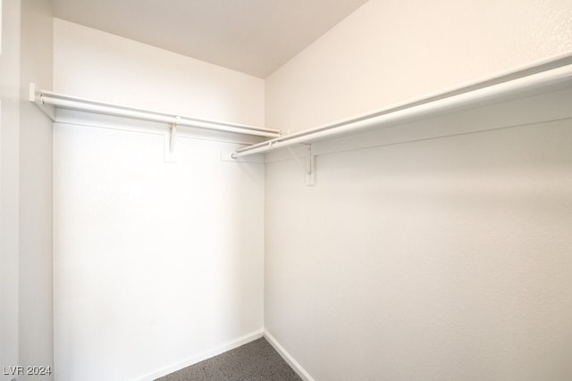 spacious closet with carpet flooring