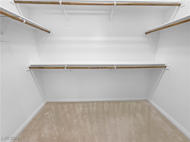 spacious closet featuring light colored carpet