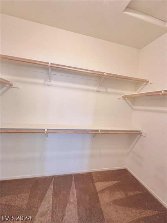 spacious closet featuring carpet flooring