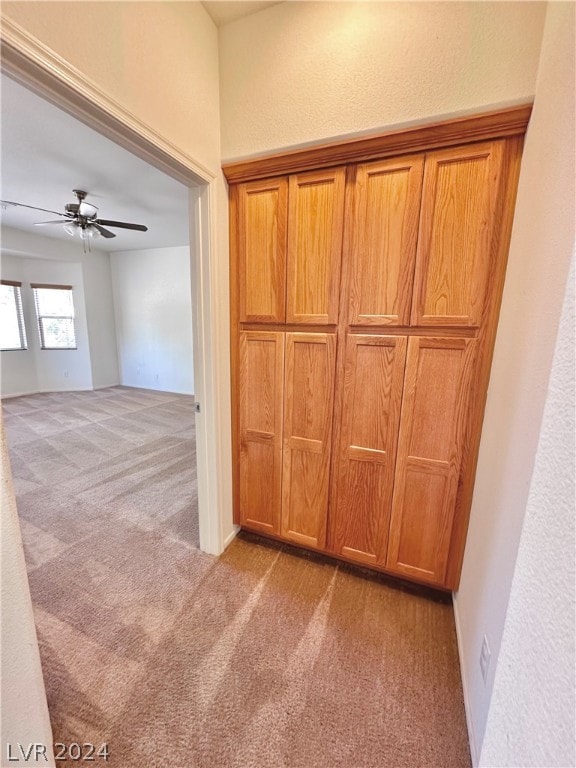 interior space featuring carpet floors