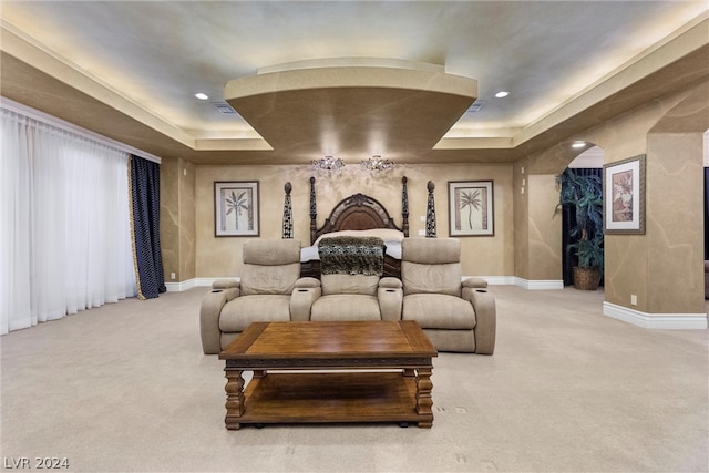 carpeted cinema featuring a tray ceiling