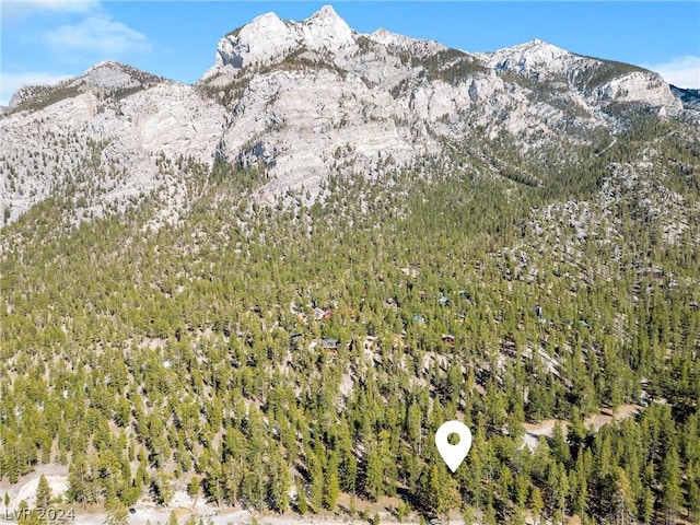Lee Canyon Rd, Mount Charleston, NV 89124