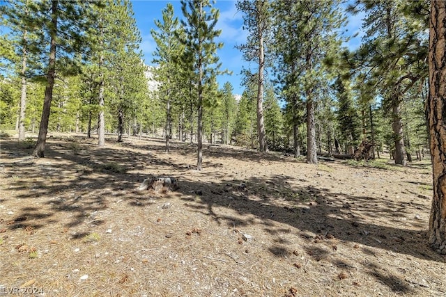 Lee Canyon Rd, Mount Charleston, NV 89124