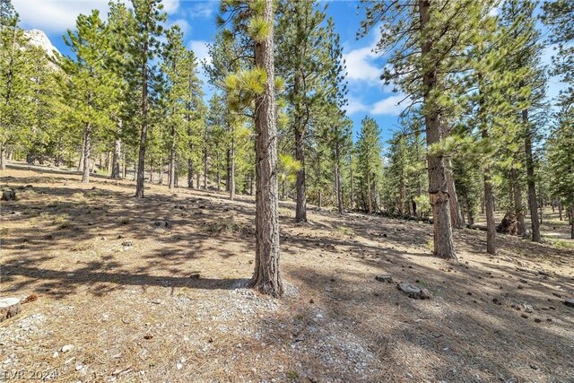 Lee Canyon Rd, Mount Charleston, NV 89124