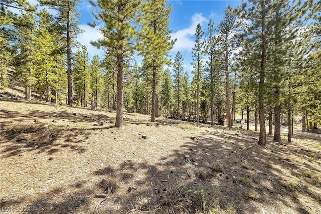 Lee Canyon Rd, Mount Charleston, NV 89124