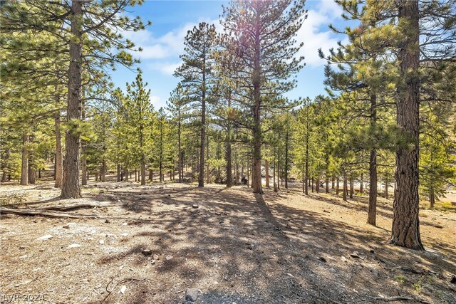 Lee Canyon Rd, Mount Charleston, NV 89124