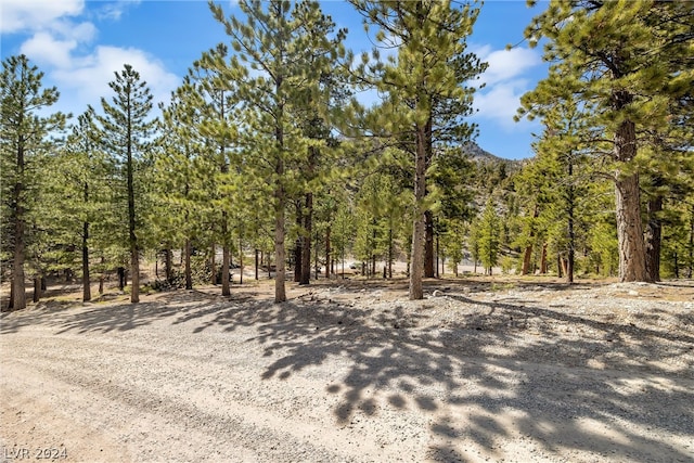 Lee Canyon Rd, Mount Charleston, NV 89124