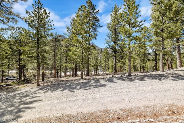Lee Canyon Rd, Mount Charleston, NV 89124
