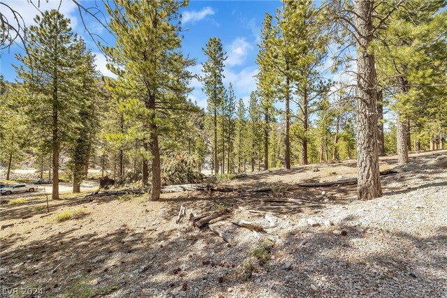 Lee Canyon Rd, Mount Charleston, NV 89124