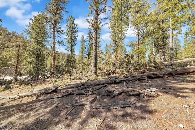 Lee Canyon Rd, Mount Charleston, NV 89124