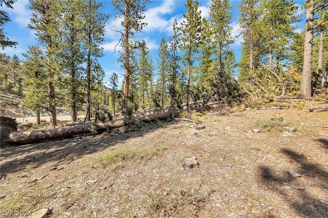 Lee Canyon Rd, Mount Charleston, NV 89124