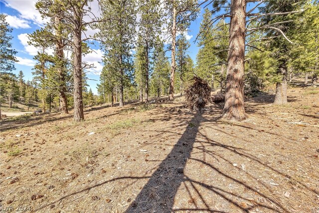 Lee Canyon Rd, Mount Charleston, NV 89124