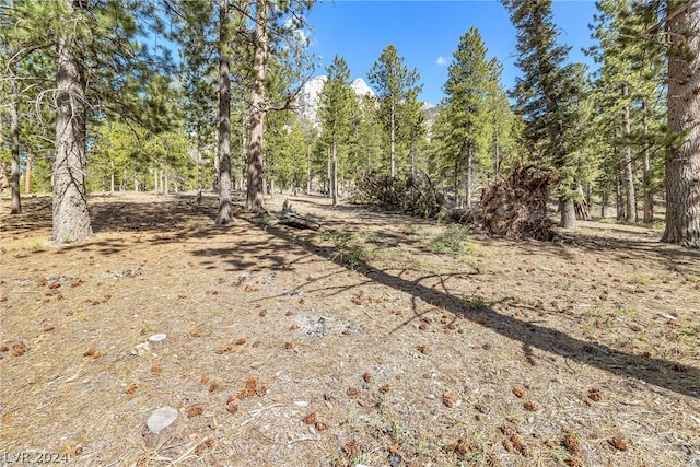 Lee Canyon Rd, Mount Charleston, NV 89124