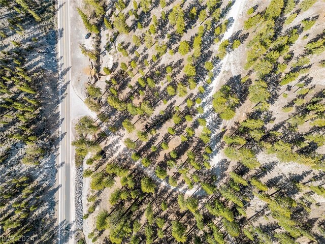 Lee Canyon Rd, Mount Charleston, NV 89124