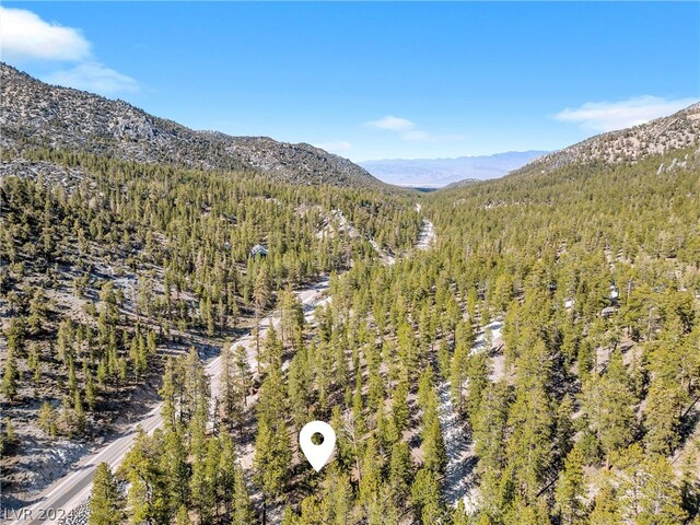 Lee Canyon Rd, Mount Charleston, NV 89124