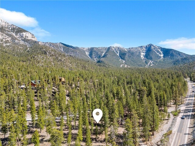 Lee Canyon Rd, Mount Charleston, NV 89124