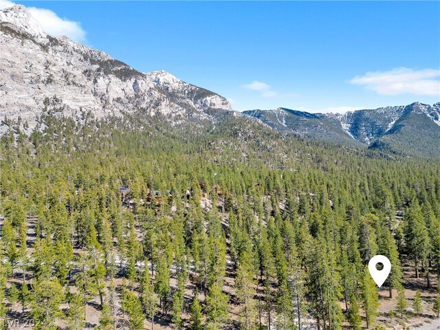 Lee Canyon Rd, Mount Charleston, NV 89124