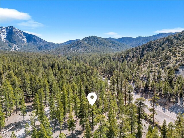 Lee Canyon Rd, Mount Charleston, NV 89124