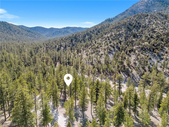 Lee Canyon Rd, Mount Charleston, NV 89124