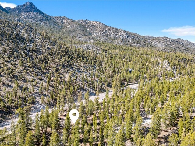 Lee Canyon Rd, Mount Charleston, NV 89124