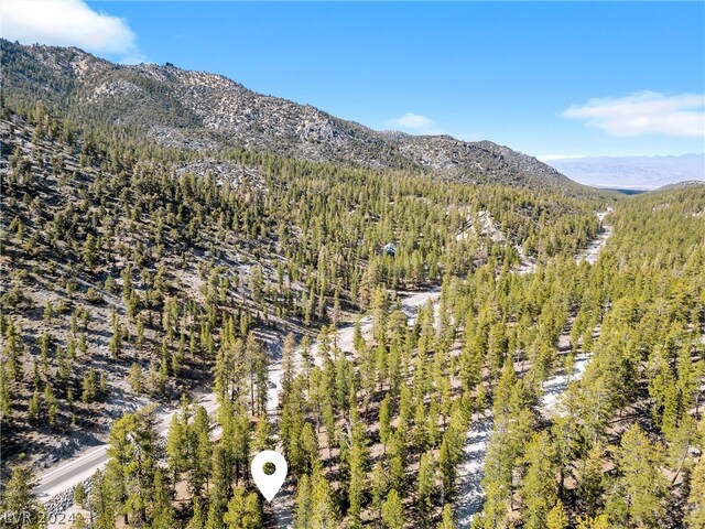Lee Canyon Rd, Mount Charleston, NV 89124