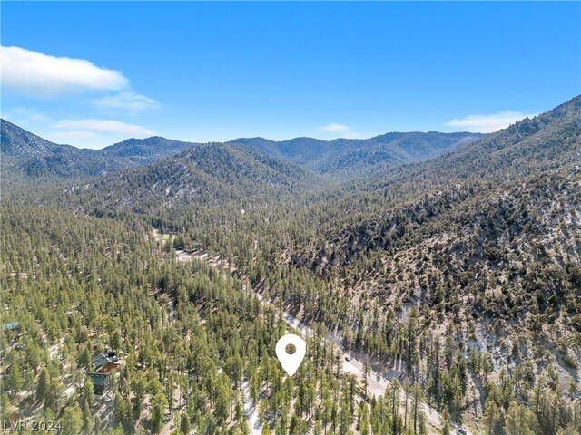Lee Canyon Rd, Mount Charleston, NV 89124