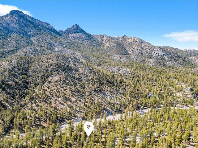 Lee Canyon Rd, Mount Charleston, NV 89124