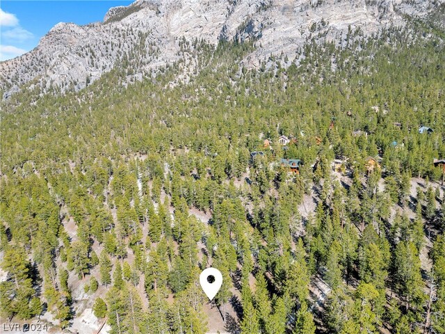 Lee Canyon Rd, Mount Charleston, NV 89124