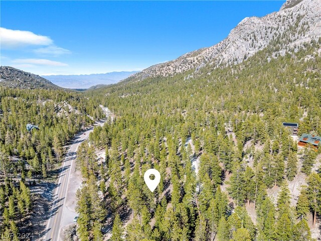 Lee Canyon Rd, Mount Charleston, NV 89124
