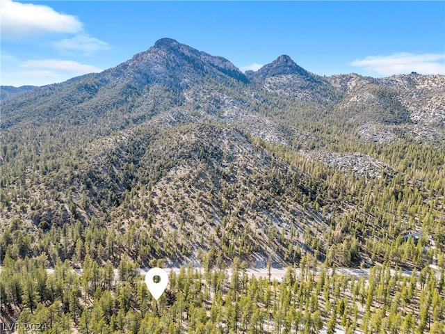 Lee Canyon Rd, Mount Charleston, NV 89124