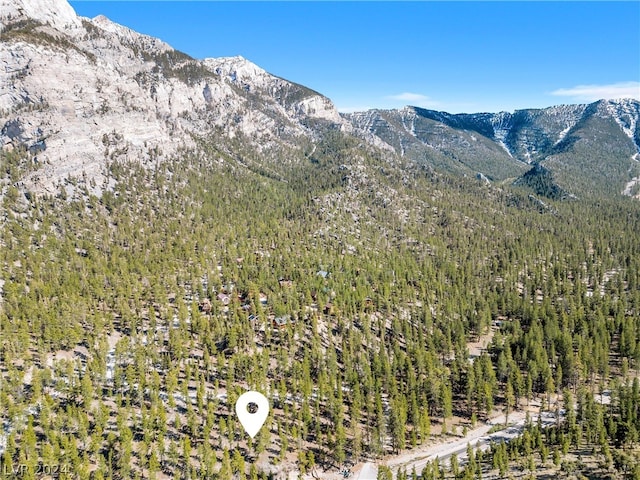 Lee Canyon Rd, Mount Charleston, NV 89124